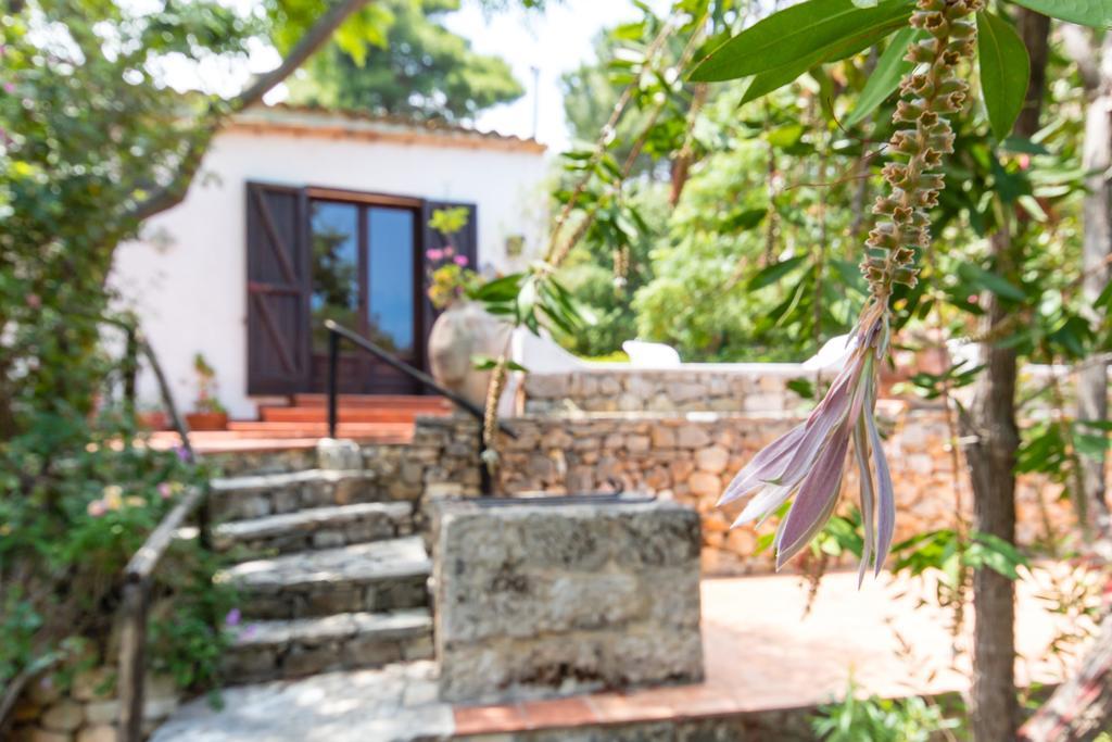 Villa Adamo Скопело Стая снимка